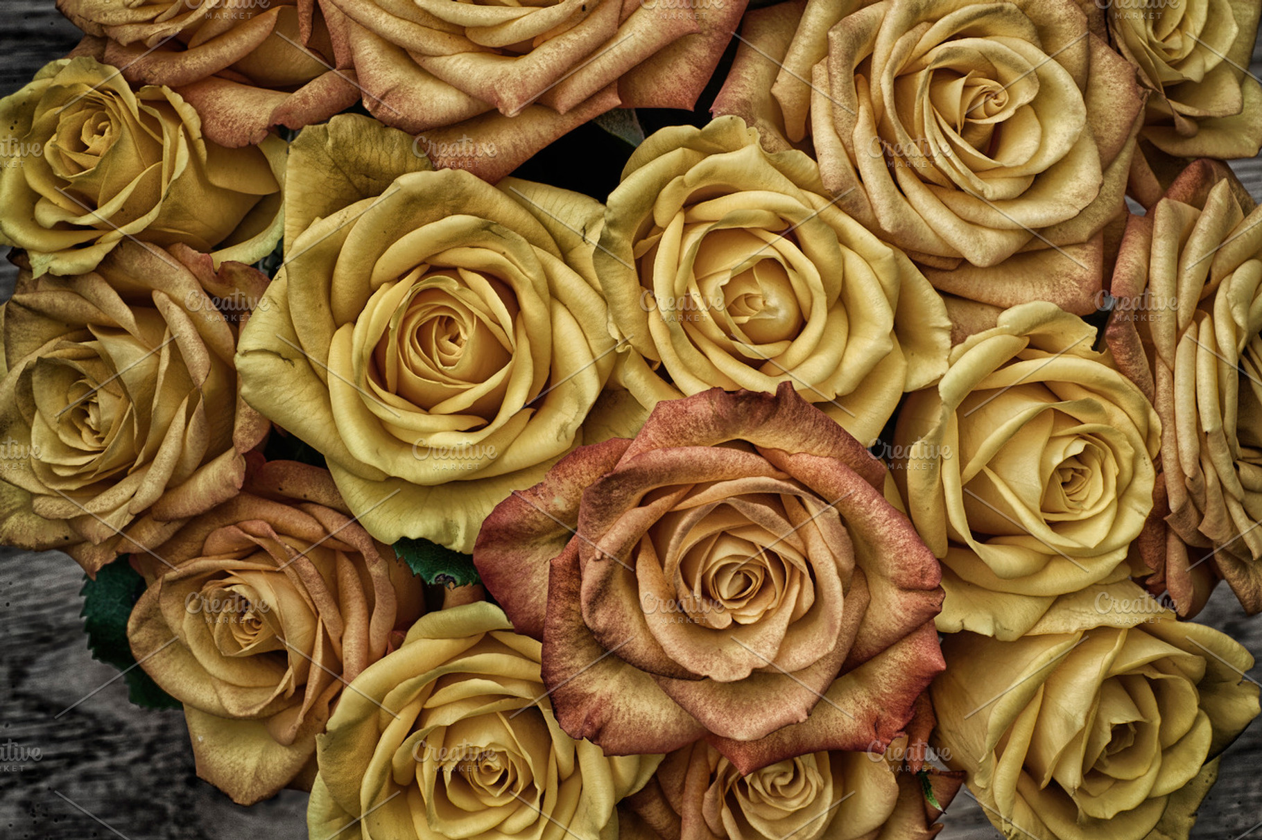 Little Big Rose Stock Photo Containing Rose And Heart