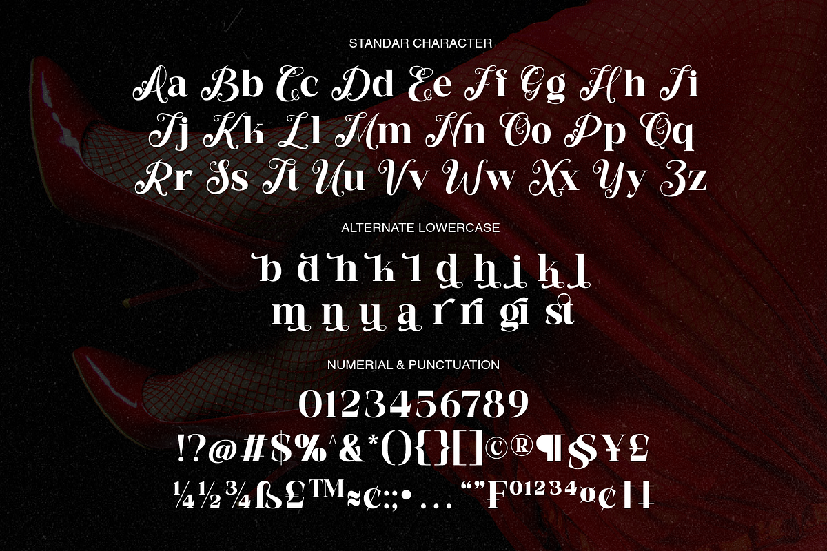 Ornelia Elegant Serif, a Serif Font by Haps Space (Photo 7 of 10)