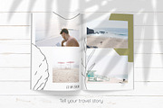 Seashells collection, a Background Graphic by Svyatoslava_M (Thumbnail 4 of 8)