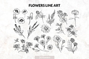 Flowers Line Art. Floral Clipart, a Decorative Illustration by ilonitta (Thumbnail 2 of 11)