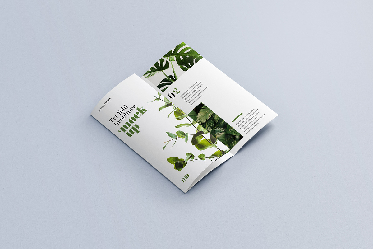 Trifold Brochure Mockup, a Print Template by mockupatelier (Photo 12 of 15)