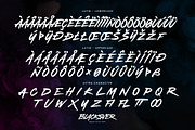 Blacksver - Brush Font, a Font by agnyhasyastudio (Thumbnail 11 of 12)