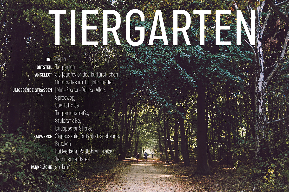 StadtMitte, a Sans Serif Font by Letritas (Photo 9 of 10)