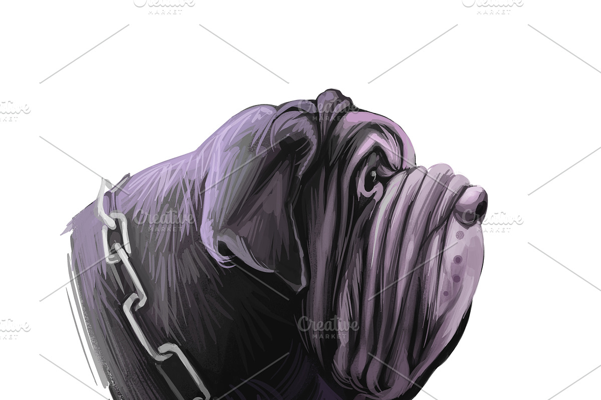 Mastiffs and Pugs 34 PSD Dogs Set, an Animal Illustration by Dneprstock (Photo 4 of 15)