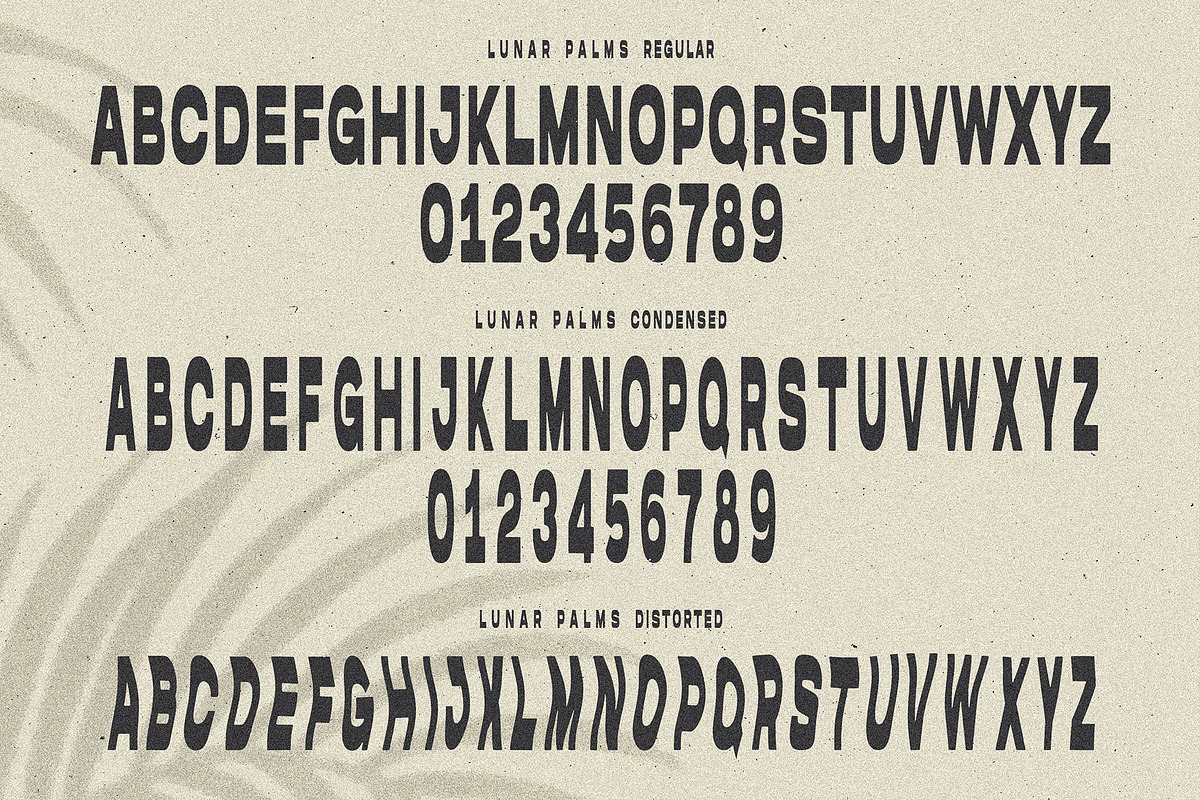 THE VINTAGE Font Bundle, a Handwritten Font by Cameron Humphries (Photo 4 of 13)
