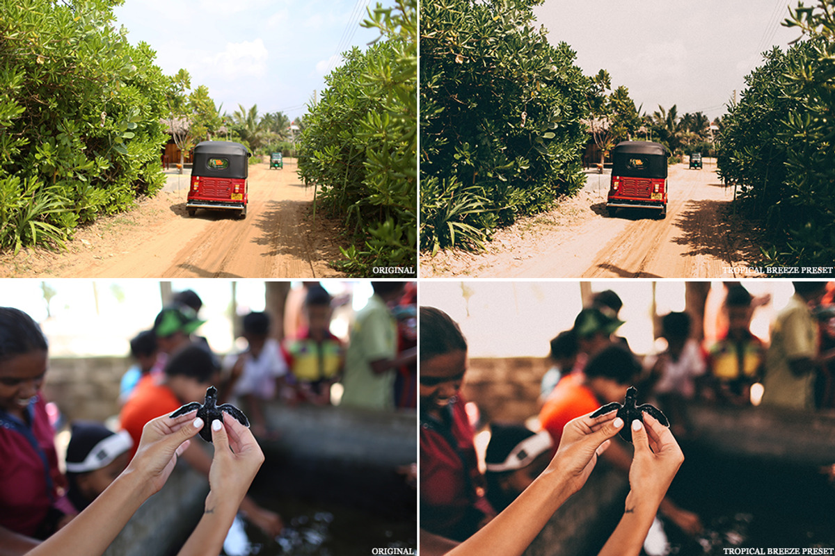 Tropical breeze - Lightroom preset, an Action Add-On by LovelyPhotoPrints (Photo 4 of 5)