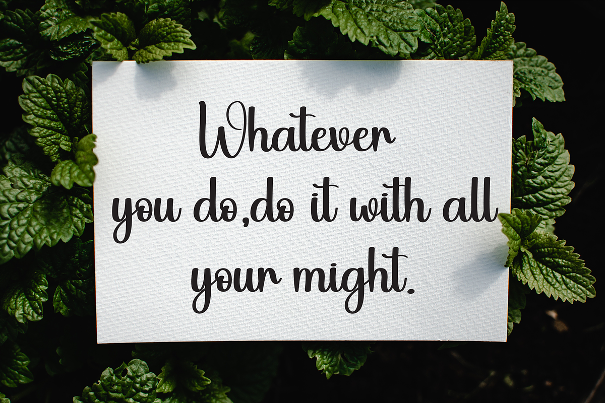 Spicy Cafe | Script Font, a Handwritten Font by Scratchones (Photo 4 of 9)
