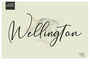 Wellington, a Script Font by MSG Studio (Thumbnail 1 of 9)