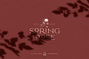 Elegant Karin - Stylish Typeface, a Serif Font by Kaligra.co (Thumbnail 19 of 28)