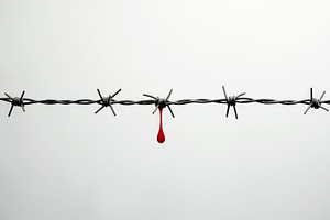 Barbed Wire with a Drop of Blood on, a Business Photo by Perpis