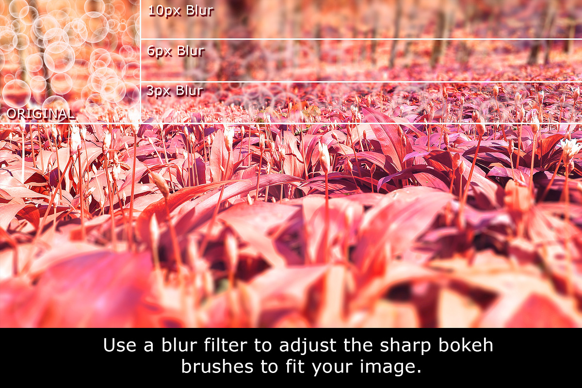 60 Bokeh Brushes & PNGs, a Brush Add-On by xresch (Photo 4 of 14)