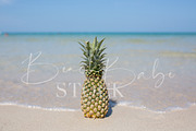A pineapple on the beach, a Food & Drink Photo by Beach Babe Stock (Thumbnail 1 of 2)