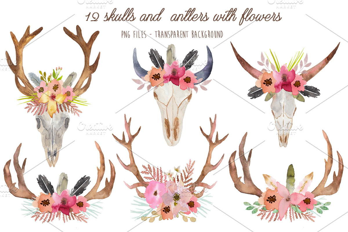 Wild Collection - Skulls and Antlers, a Decorative Illustration by MaraquelaStudio (Photo 3 of 10)