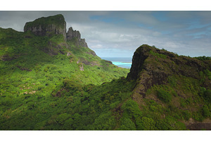 Aerial view showcasing lush tropical, a Nature Photo by Goinyk