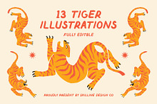 Tiger Illustrations Bundle by  in Illustrations