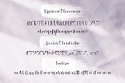 Agathe Ledden, a Script Font by sabrcreative (Thumbnail 6 of 10)