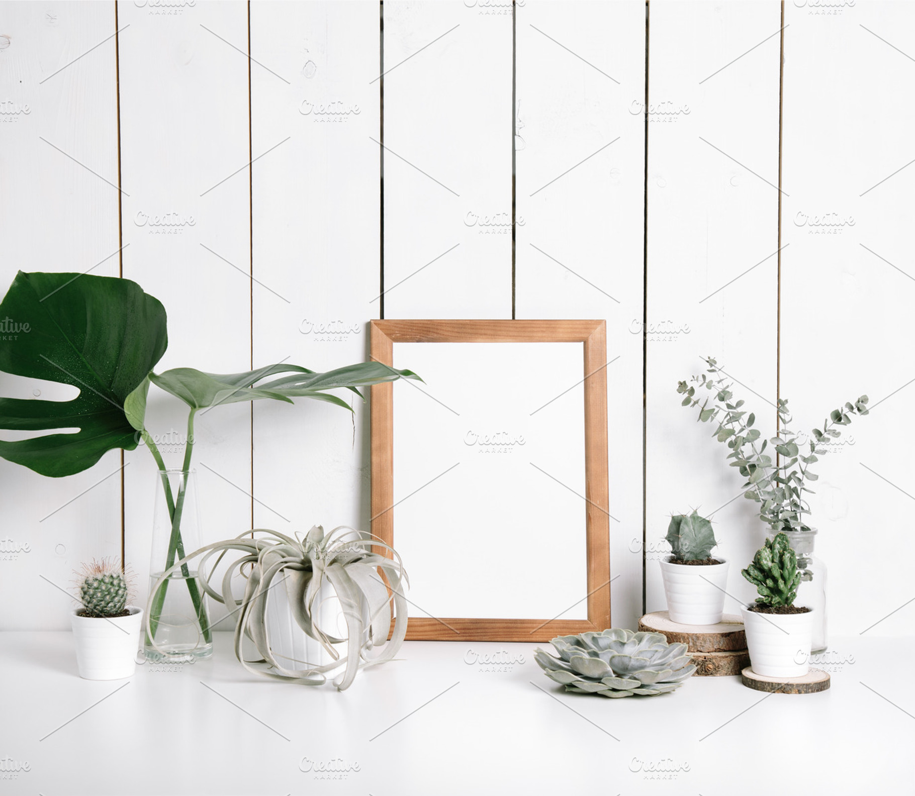 Collection of plants & frame containing laptop, minimal, and houseplant, an Arts & Entertainment Photo by KateAedon