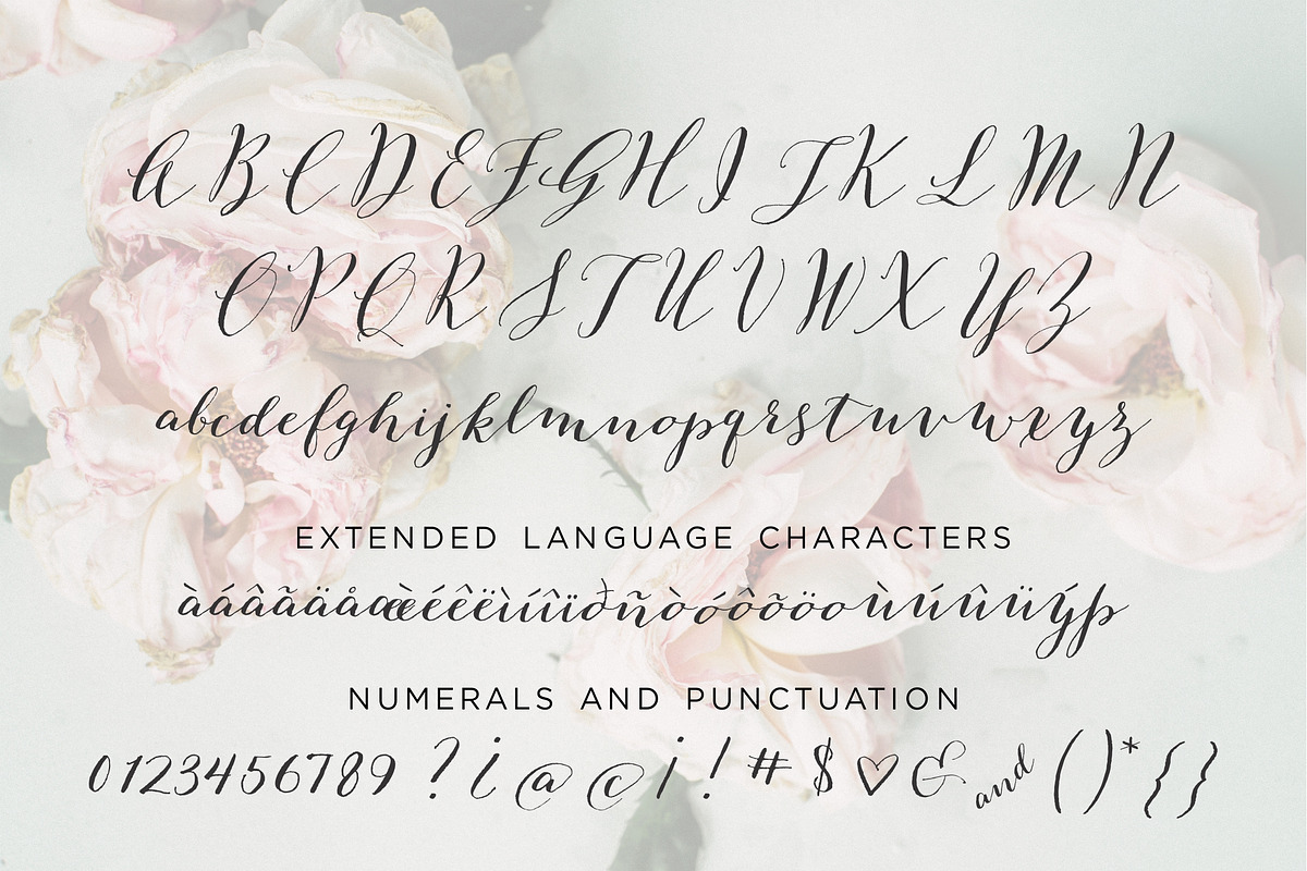 Great Mischief Hand Calligraphy preview 3