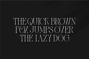 Zaslia - Elegant Ligature Serif, a Serif Font by suhadidesign (Thumbnail 3 of 14)
