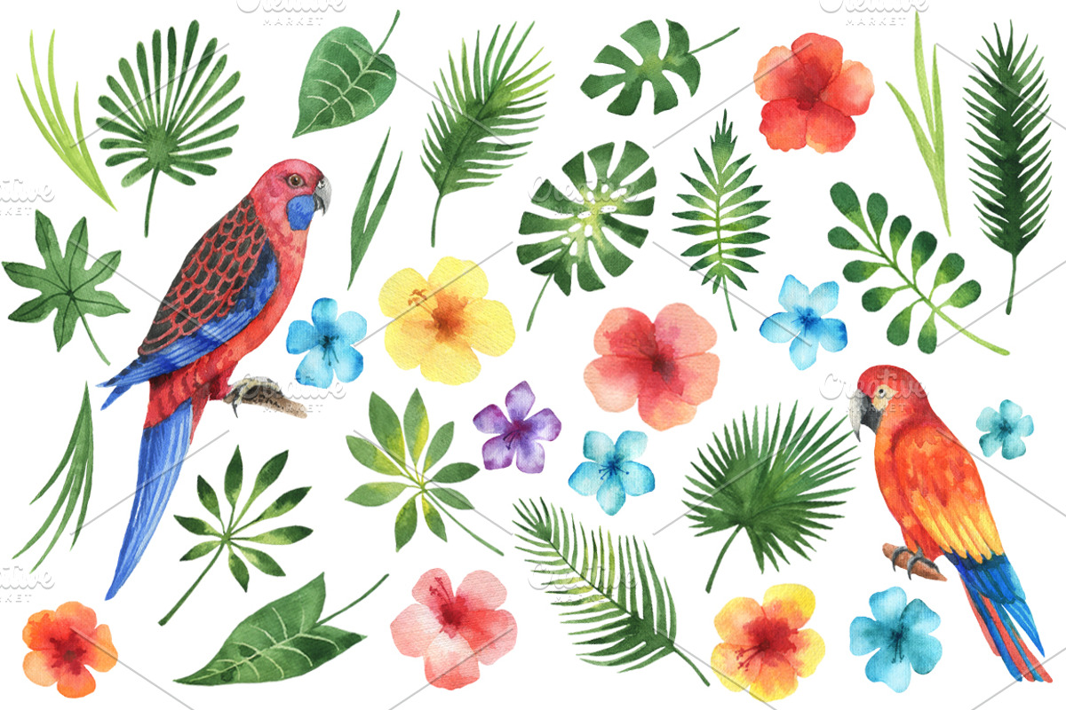 Tropical flowers and leaves., a Decorative Illustration by Elena Medvedeva (Photo 2 of 8)