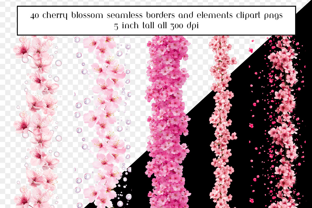 Cherry Blossom Seamless Borders, an Object Graphic by AllTheKewtClipart (Photo 6 of 10)