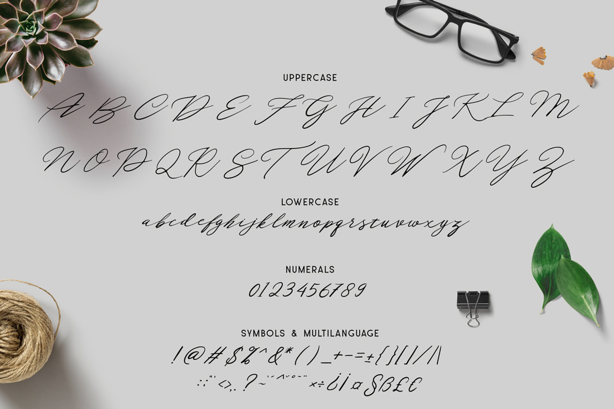 the faino typeface, a Script Font by alit design (Photo 10 of 10)