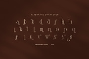 Sagiten Elegant Display Serif Font, a Serif Font by Graphicxell (Thumbnail 8 of 8)