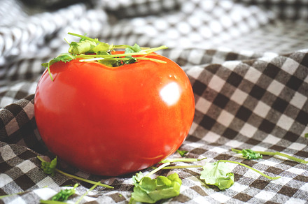 Tomatoes featuring tomato, coriander, and tablecloth preview 6