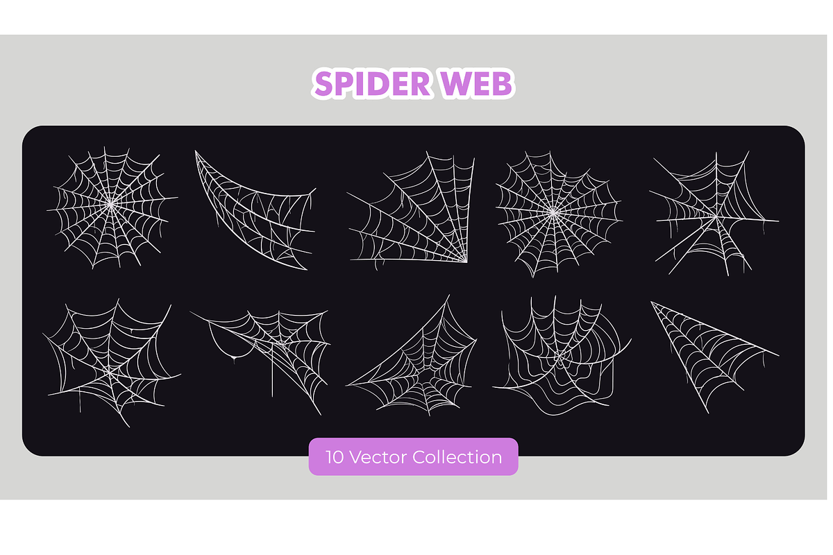 Spider Web Vector Set, an Animal Illustration by Creathub Studio (Photo 1 of 6)