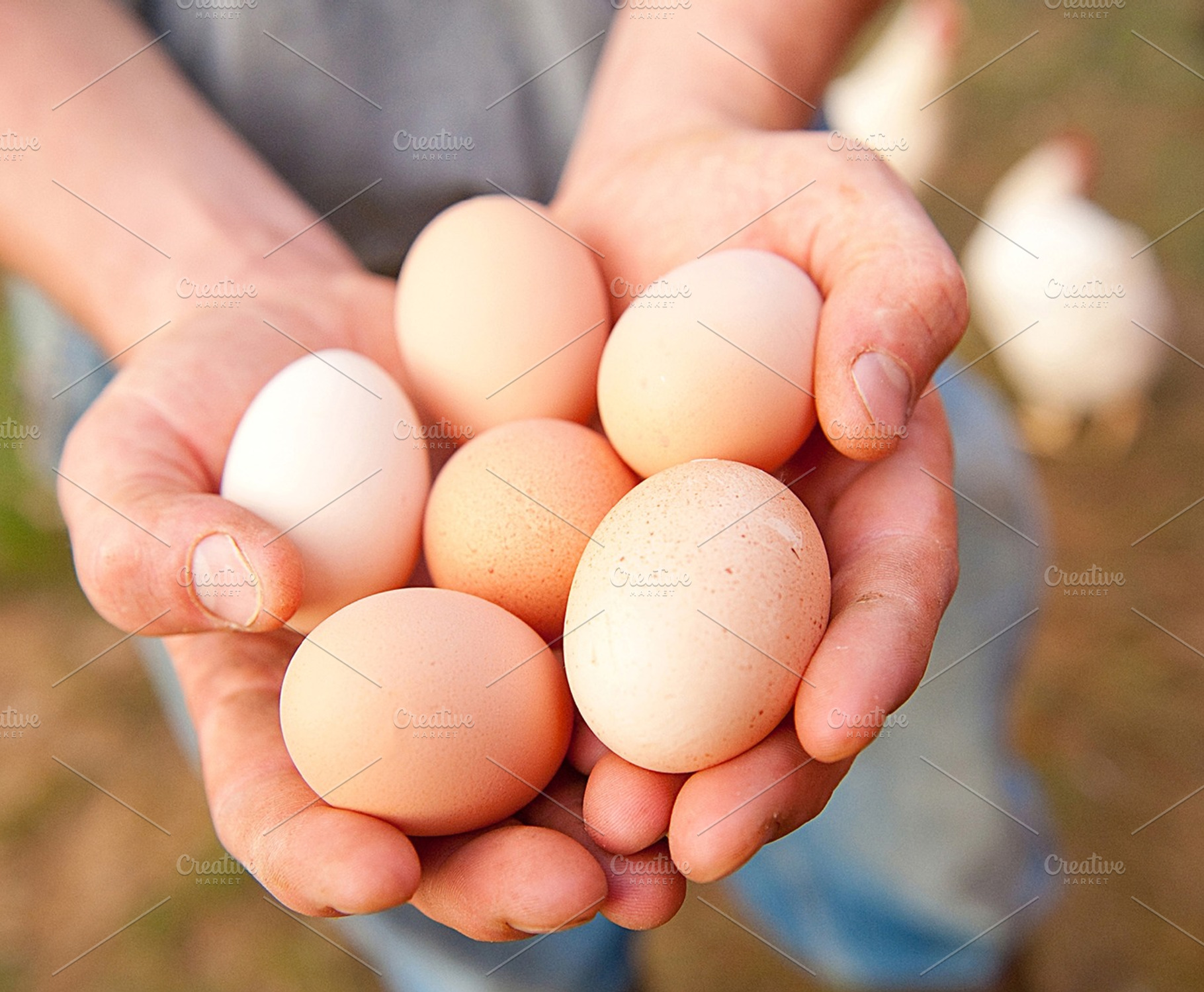 Farm fresh eggs containing eggs, color, and round, a Food & Drink Photo by Ted Axelrod Photography