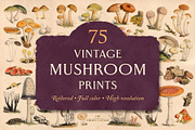 75 Vintage Mushroom Ephemera Artwork, a Decorative Illustration by The Object Atlas (Thumbnail 1 of 7)