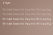 Anatta Display Serif Typeface, a Serif Font by PARAMAJAN (Thumbnail 2 of 11)