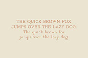 TYPEWRITER: Vintage & Antique Serif, a Font by Chez Núñez (Thumbnail 2 of 5)