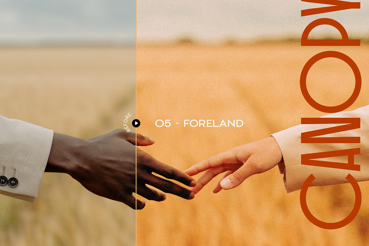 Canopy - Earthy Lightroom Presets, an Action Add-On by Presetrain Co. (Photo 4 of 8)