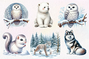 Watercolor Arctic Animals Clipart, an Illustration by Dream Creation (Thumbnail 8 of 8)
