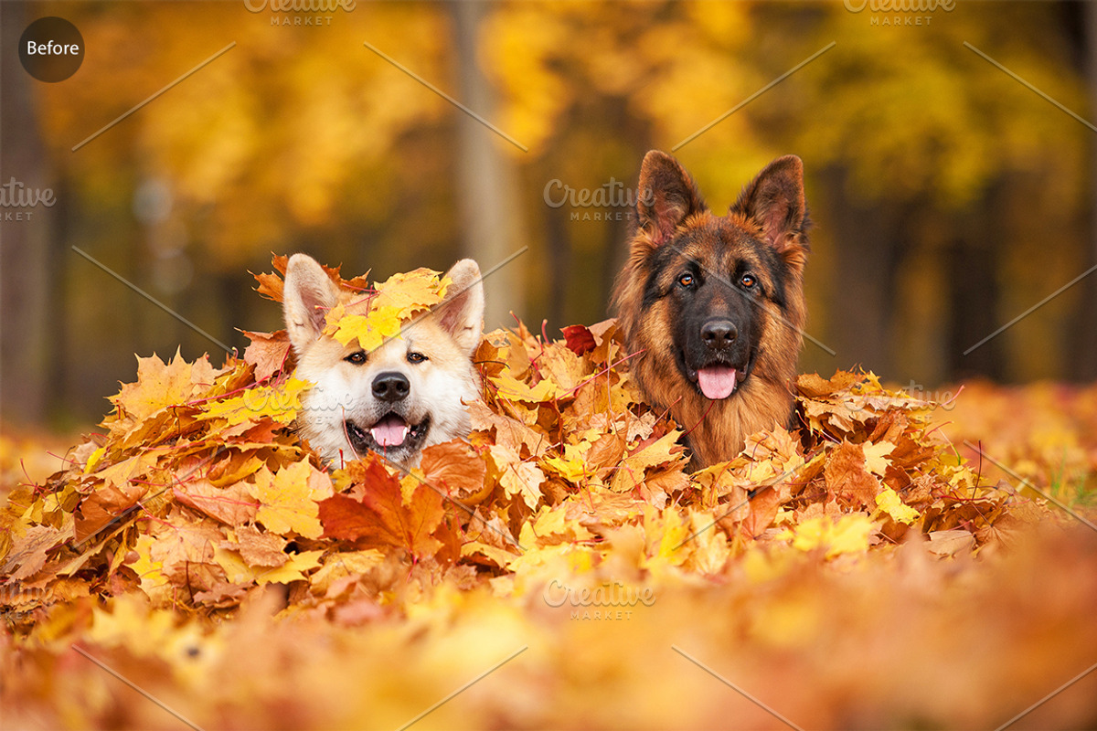 CHROME, a Preset Add-On by ProPreset (Photo 6 of 13)