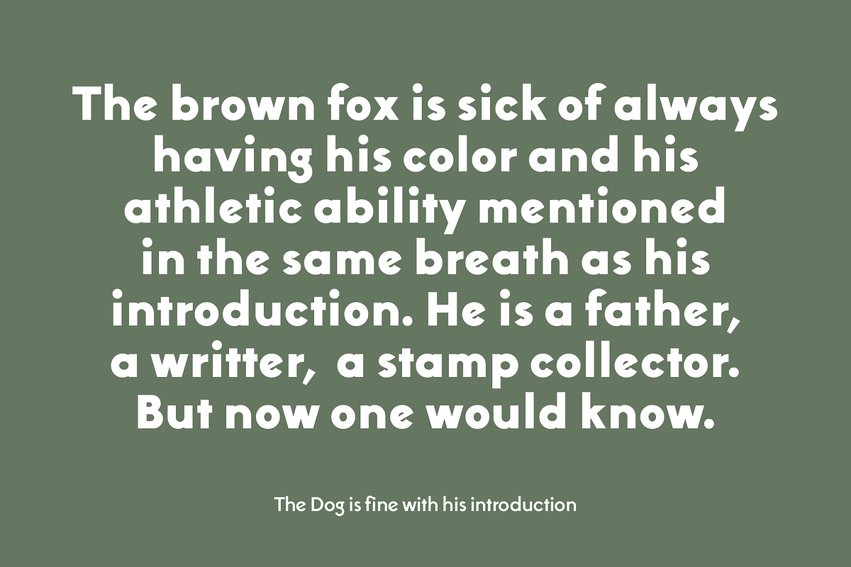 Thatura Geometric Sans Font, a Sans Serif Font by That That Creative (Photo 12 of 19)