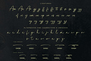 Palisade | Handwritten, a Handwritten Font by Aveni Letter Type (Thumbnail 11 of 15)