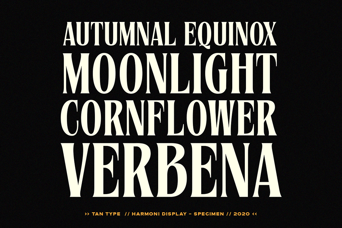 TAN - Harmoni, a Serif Font by TanType (Photo 9 of 19)