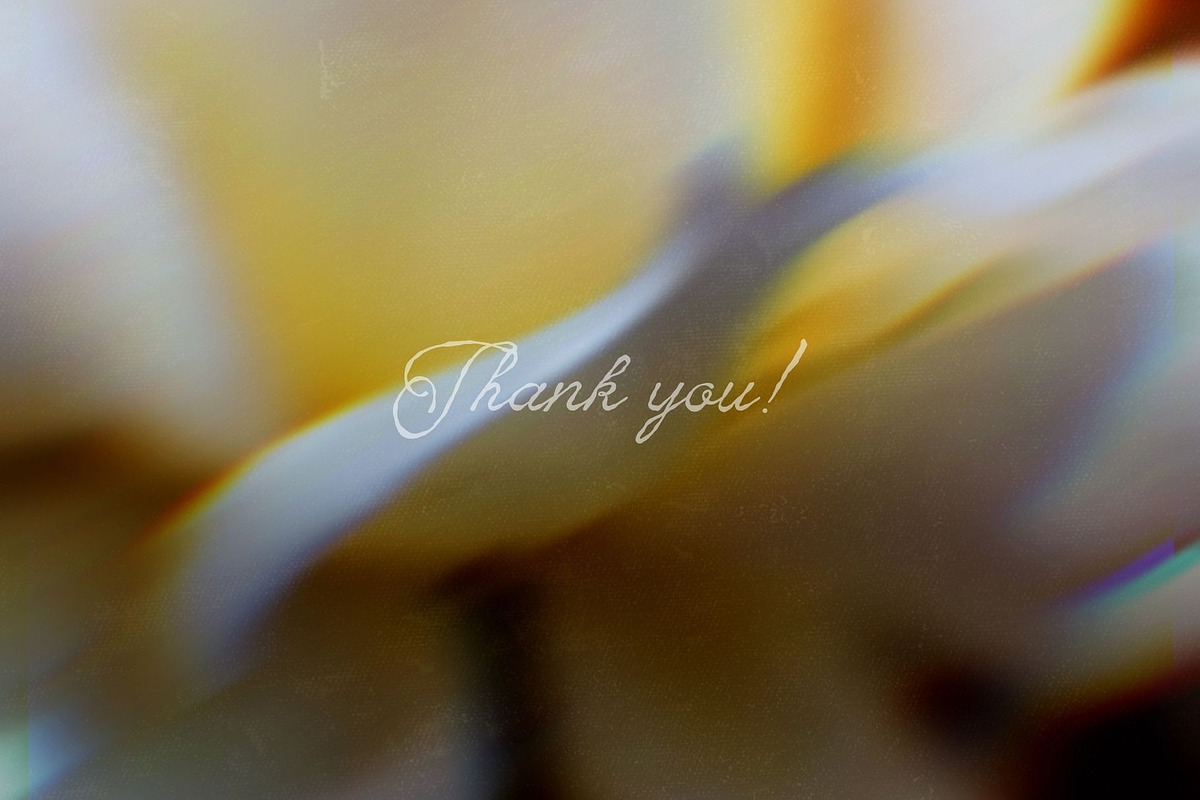 Floral Blurred Backgrounds, a Background Graphic by PaperJamLab (Photo 13 of 13)