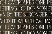 Naftegfo A New Modern Serif, a Serif Font by Storytype Studio (Thumbnail 8 of 15)