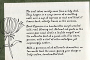 Handwritten ink script font Espresso, a Script Font by TD fonts (Thumbnail 4 of 12)
