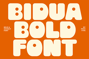 Bidua - Bold Chunk Rounded Display