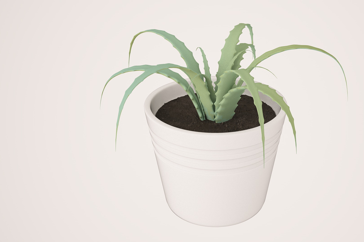 Plant n°1, an Object 3D Model by 3D Furnishing (Photo 1 of 20)