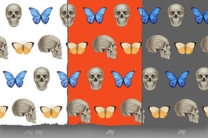 Insect Collection / Pattern Design