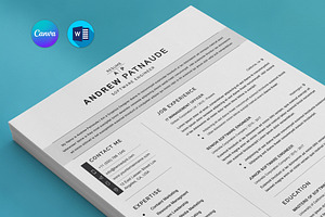 Nurse Resume Canva