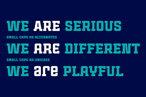 Cintra Slab Font Family