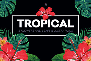 Tropical