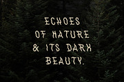 WithAnimals Font, a Handwritten Font by Towards The North (Thumbnail 5 of 8)