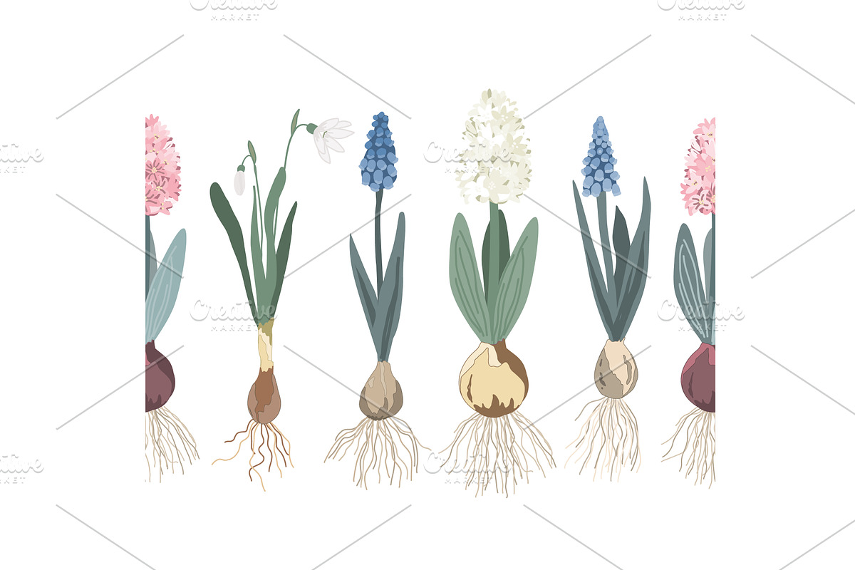 Botanical seamless border design, an Object Illustration by Toltemara